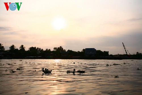 Cai Be floating market fascinates Mekong Delta visitors  - ảnh 1